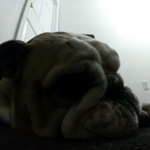 Meet your Posher, Jose